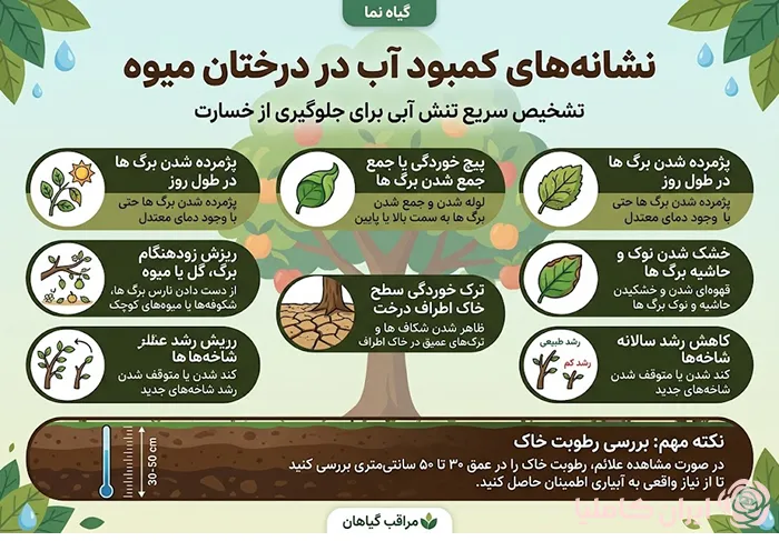 بهترین روش آبیاری درختان میوه